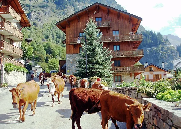 Les Du Bouquetin - Martre Apartman La Plagne