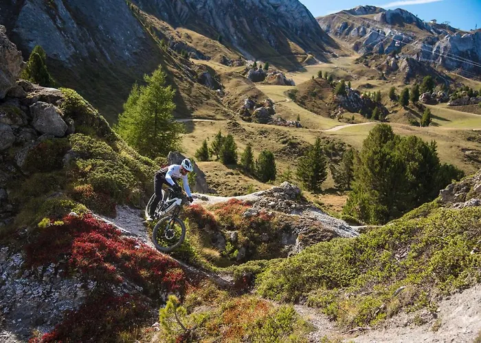 Les Du Bouquetin - Martre